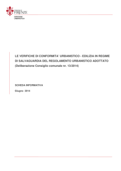 Scheda informativa salvaguardie - giugno 2014