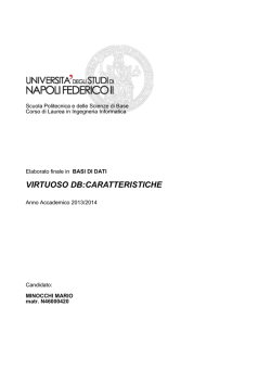 Elaborato minocchi mario n46000420