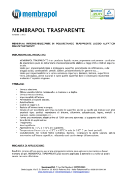 Membrapol Trasparente