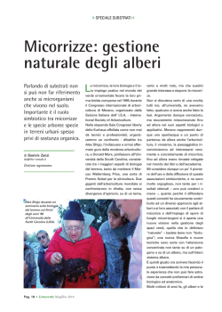 Micorrizze: gestione naturale degli alberi - Fito