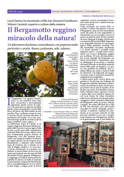 Il Bergamotto reggino miracolo della natura! Un