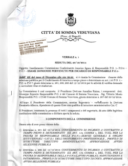 Scarica il verbale n. 1 della Commissione
