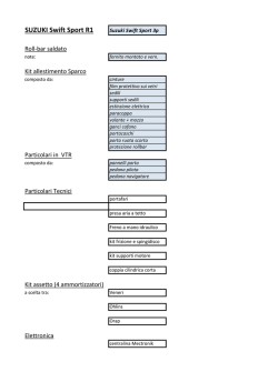 SUZUKI Swift Sport R1