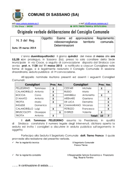 Regolamento videosorveglianza - DELIBERA