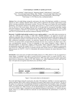 Casein haplotype variability in Apulian goat breeds