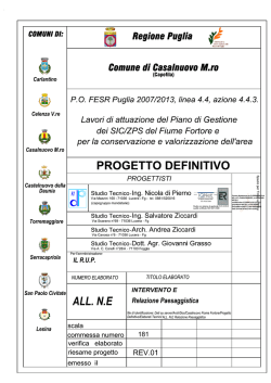 ALL.N.E_REV.01 - Comune di Casalnuovo Monterotaro