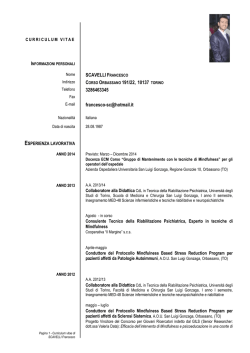 formato europeo per il curriculum vitae