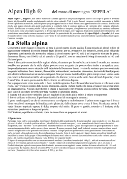 La Stella alpina