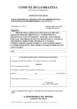 DETERMINA_n_19 - GambatesaBlog.info