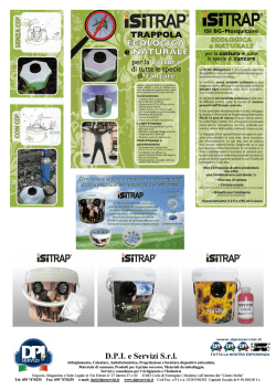 Scopri le promozioni di questo mese, scarica il pdf