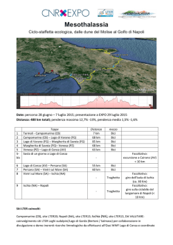 Scheda Tecnica - Mesothalassia low