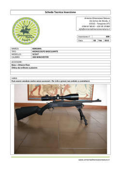 Scheda Tecnica Inserzione