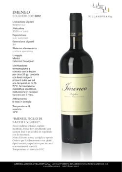 IMENEO - Villanoviana