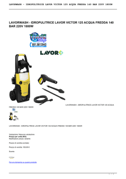 idropulitrice lavor victor 125 acqua fredda 140 bar