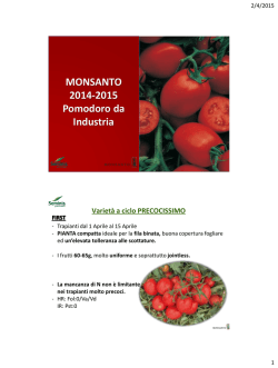 MONSANTO 2014-2015 Pomodoro da Industria - Tomato-Farm