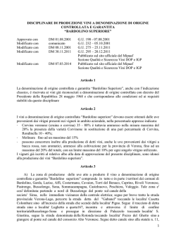 DOCG Bardolino Superiore