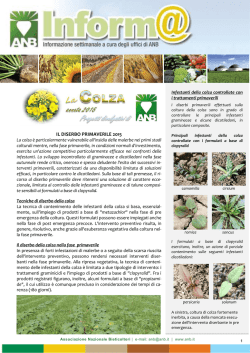 colza - diserbo primaverile 2015 - Associazione Nazionale Bieticoltori