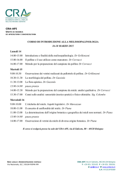 CORSO DI INTRODUZIONE ALLA - CRA-API
