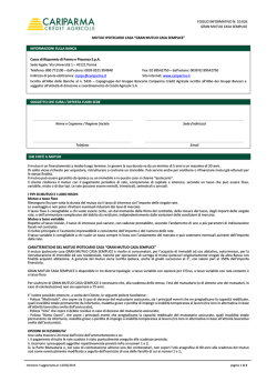 FOGLIO INFORMATIVO N. 10.026 GRAN MUTUO CASA SEMPLICE Versione 4