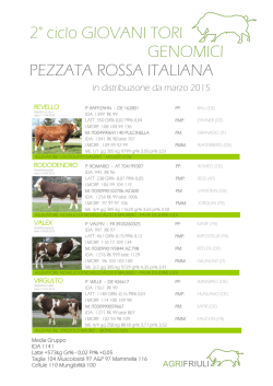 2&deg;CICLO GIOVANI TORI PR