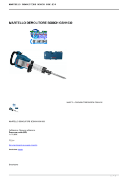 MARTELLO DEMOLITORE BOSCH GSH1630