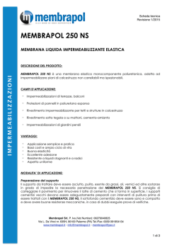 Scheda tecnica MEMBRAPOL 250 NS