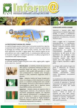 grano - Associazione Nazionale Bieticoltori