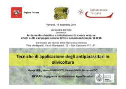 Tecniche di applicazione degli antiparassitari in olivicoltura