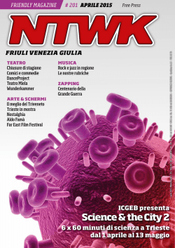 scarica il pdf