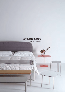 Plane - iCARRARO | Italian Makers