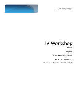 IV Workshop