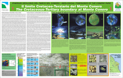 The Cretaceous-Tertiary boundary at Monte