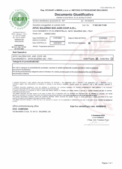 Documento G i ustificativo