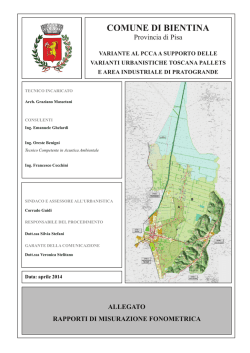 07 allegato rapporti di misurazione