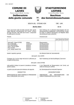 Risikokatalog dt - Comune di Laives