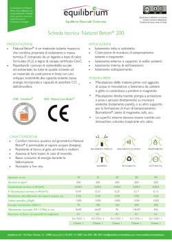 Scheda tecnica NATURAL BETON 200 nuova LD