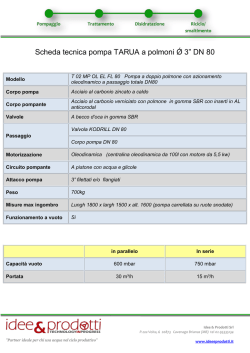 Scheda tecnica pompa TARUA a polmoni Ǿ 3&rdquo; DN 80