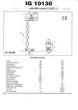 lG 10130 - Ciemme Noleggio S.r.l.