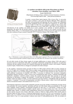 Paolo PARONUZZI - Istituto Italiano di Preistoria e Protostoria