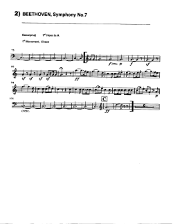 Z) BEETHOVEN, Symphony No.7 - Loudoun Symphony Orchestra