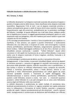 cessione_arma 2015