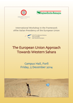 I Vini del Sudafrica