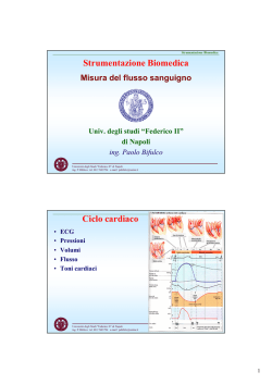 il fantastico mondo dell`automobile viaggi guidati