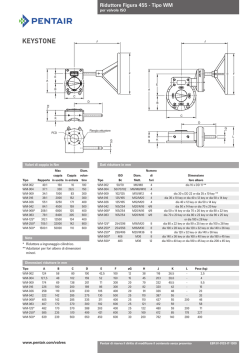 Schema di gioco 442