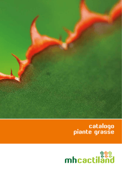 Nome Comercial Da Ciprofloxacina (Cipro:Ciprofloxacin) Cipro