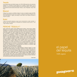 Il Bramino Dell`assam