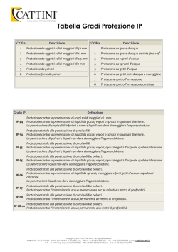 La principessa Carmen e il drago