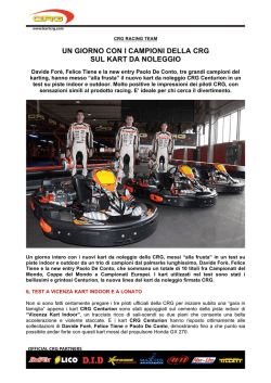 Scaricare il libro La scimmia di pietra