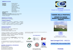 Presentazione standard di PowerPoint