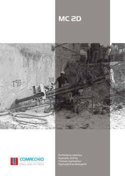 La ragazza delle arance